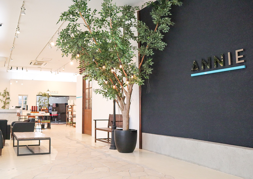 アニー ひたちなか店