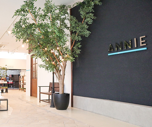 アニーひたちなか店